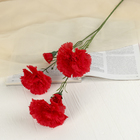 Цветы искусственные "Гвоздички" 8х67 см, красный - фото 8505082