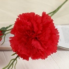 Цветы искусственные "Гвоздички" 8 67 см, красный - фото 809112009