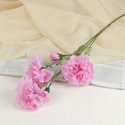 Цветы искусственные "Гвоздички" 8х67 см, розовый - фото 3639113