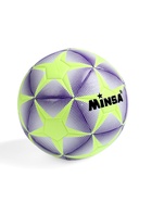 Футбольный мяч MINSA, машинная сшивка, 12 панелей, р. 5, TPE - Фото 6