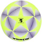 Мяч футбольный MINSA, TPЕ, машинная сшивка, 12 панелей, р. 5 - фото 8299538
