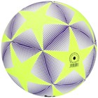 Мяч футбольный MINSA, TPU, машинная сшивка, 12 панелей, р. 5 - фото 8299539
