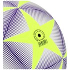 Мяч футбольный MINSA, TPU, машинная сшивка, 12 панелей, р. 5 - фото 3797709
