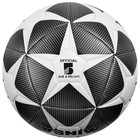 Мяч футбольный MINSA, TPU, машинная сшивка, 12 панелей, р. 5 - фото 8299546
