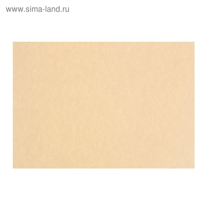 Бумага для пастели 35х50см 10 листов "Палаццо. Sand (песочный)", 160г/м2 - Фото 1