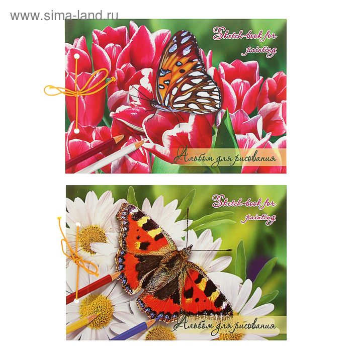 Альбом для рисования А4, 30 листов на завязках "Бабочки", блок офсет 100г/м2, МИКС - Фото 1