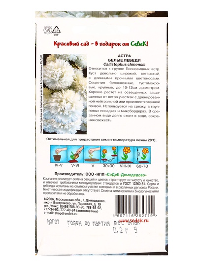Семена цветов Астра "Белые лебеди "0.2 г