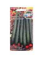 Семена Огурец «Аллигатор», F1, 0.2 г, ранний, «СеДеК» - Фото 5