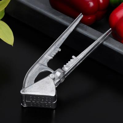 Пресс для чеснока, алюминиевый, 5.5×16×3 см