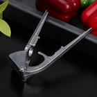 Пресс для чеснока, алюминиевый, 5.5×16×3 см - Фото 2