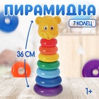 Пирамидка детская «Мишка», 7 колец - Фото 1