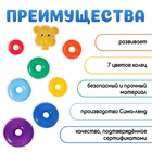 Пирамидка детская «Мишка», 7 колец - Фото 2