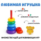 Пирамидка детская «Мишка», 7 колец - Фото 3