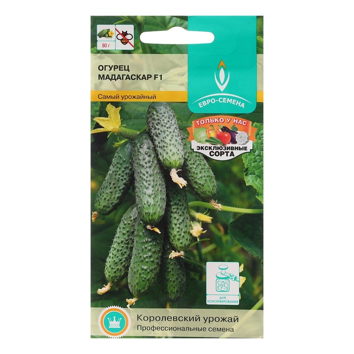 Семена Огурец "Мадагаскар" F1, раннеспелый, партенокарпический, слабоветвистый, 0,25 г - Фото 1