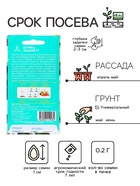 Семена Огурец "Зозуля" F1, партенокарпический, 0,25 г - Фото 2