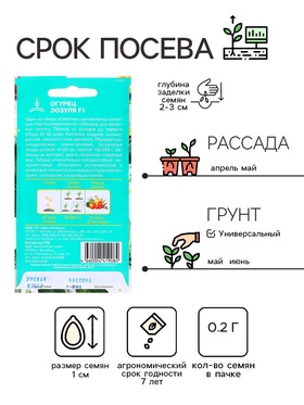 Семена Огурец "Зозуля" F1, партенокарпический, 0,25 г (комплект 3 шт)