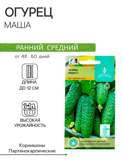 Семена Огурец "Маша" F1, партенокарпический, 5 шт.