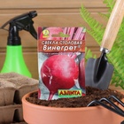 Семена Свекла столовая "Винегрет" "Лидер", 2 г , - Фото 3