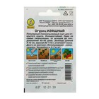 Семена Огурец "Изящный" "Лидер", скороспелый, пчелоопыляемый, 20 шт. - Фото 3
