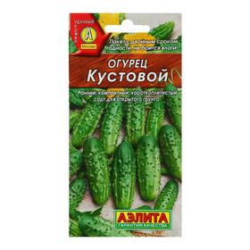 Семена Огурец "Кустовой", скороспелый, пчелоопыляемый, 20 шт 1731646