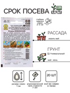 Семена Огурец «Нежинский», пчелоопыляемый, 20 шт., «АЭЛИТА» - Фото 2