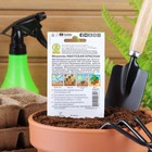 Семена Морковь "Нантская красная" "Лидер", 2 г   , - Фото 5