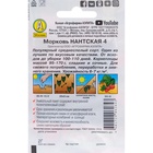 Семена Морковь «Нантская 4», 2 г, «Аэлита» - Фото 4