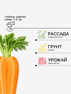 Семена Морковь «Нантская 4», 2 г, «Аэлита» - Фото 2