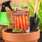 Семена Морковь «Нантская 4», 2 г, «Аэлита» - Фото 7