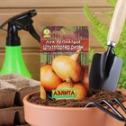 Семена Лук репчатый "Штуттгартер ризен", 1 г , - Фото 6