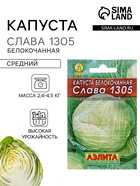 Семена Капуста белокочанная «Слава 1305 Лидер», среднеспелая, 0.5 г, «Аэлита» - Фото 1
