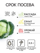 Семена Капуста белокочанная «Слава 1305 Лидер», среднеспелая, 0.5 г, «Аэлита» - Фото 2