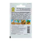 Семена Капуста белокочанная «Московская поздняя 15», 0.5 г, «Аэлита» - Фото 2