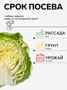 Семена Капуста белокочанная «Московская поздняя 15», 0.5 г, «Аэлита» - Фото 2