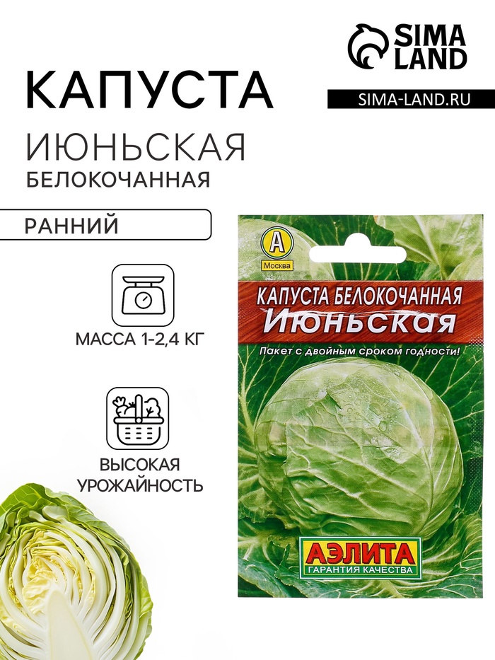 Семена Капуста белокочанная «Июньская», 0.5 г, «Аэлита» - Фото 1