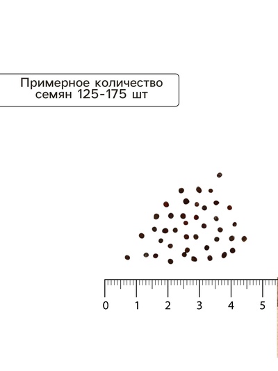 Семена Капуста белокочанная «Июньская», 0.5 г, «Аэлита»