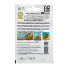 Семена Кабачок цукини «Цукеша», 10 шт., «Аэлита» - Фото 4