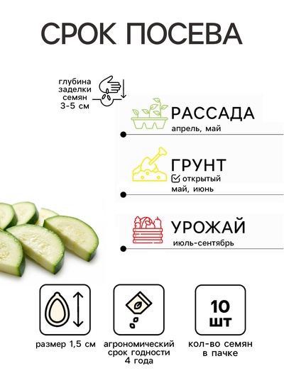 Семена Кабачок цукини «Зебра», 10 шт., «Аэлита»