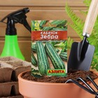 Семена Кабачок цукини «Зебра», 10 шт., «Аэлита» - Фото 6