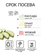 Семена Кабачок цукини «Аэронавт», 10 шт., «Аэлита» - Фото 2