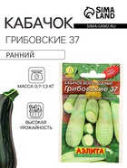 Семена Кабачок белоплодный «Грибовские 37», 8 шт., «Аэлита» - Фото 3