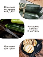 Семена Кабачок белоплодный «Грибовские 37», 8 шт., «Аэлита» - Фото 5