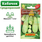 Семена Кабачок белоплодный «Грибовские 37», 8 шт., «Аэлита» - Фото 8