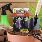 Семена Баклажан «Чёрный красавец», 0.1 г, «Аэлита» - Фото 1