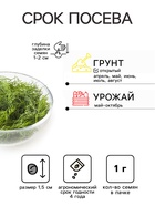 Семена Укроп "Вологодские кружева" "Лидер", 1 г , - Фото 2