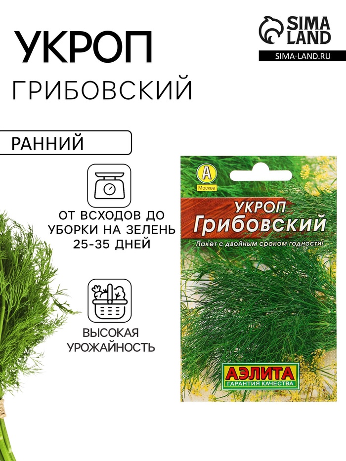 Семена Укроп "Грибовский" "Лидер", 2 г , - Фото 1
