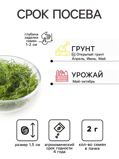 Семена Укроп «Душистый пучок», 2 г, «Аэлита»