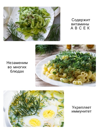 Семена Укроп «Душистый пучок», 2 г, «Аэлита»