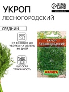 Семена Укроп «Лесногородский», 2 г - Фото 1