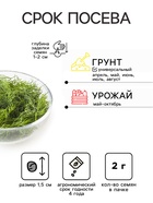 Семена Укроп «Лесногородский», 2 г - Фото 2